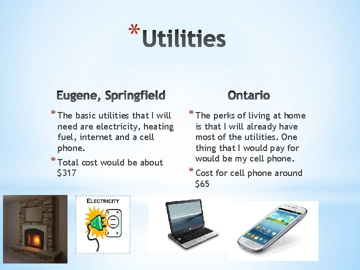 * * The basic utilities that I will need are electricity, heating fuel, internet