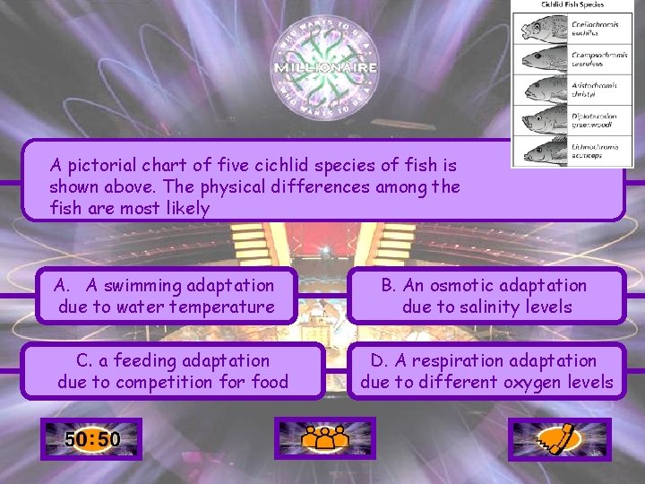 A pictorial chart of five cichlid species of fish is shown above. The physical