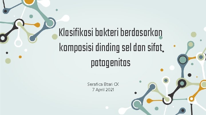 Klasifikasi bakteri berdasarkan komposisi dinding sel dan sifat patogenitas Serafica Btari CK 7 April