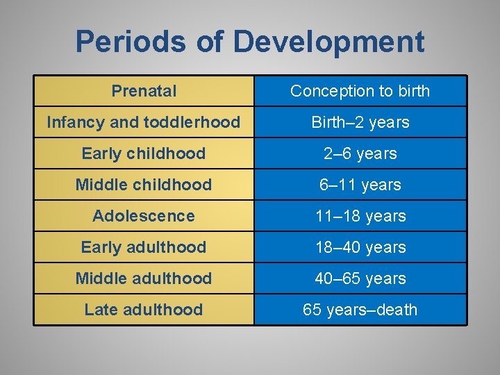 Periods of Development Prenatal Conception to birth Infancy and toddlerhood Birth– 2 years Early