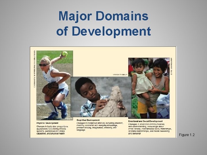 Major Domains of Development Figure 1. 2 