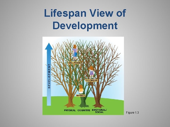 Lifespan View of Development Figure 1. 3 