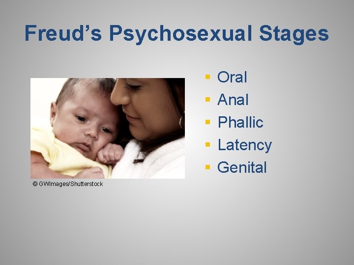 Freud’s Psychosexual Stages § § § © GWImages/Shutterstock Oral Anal Phallic Latency Genital 