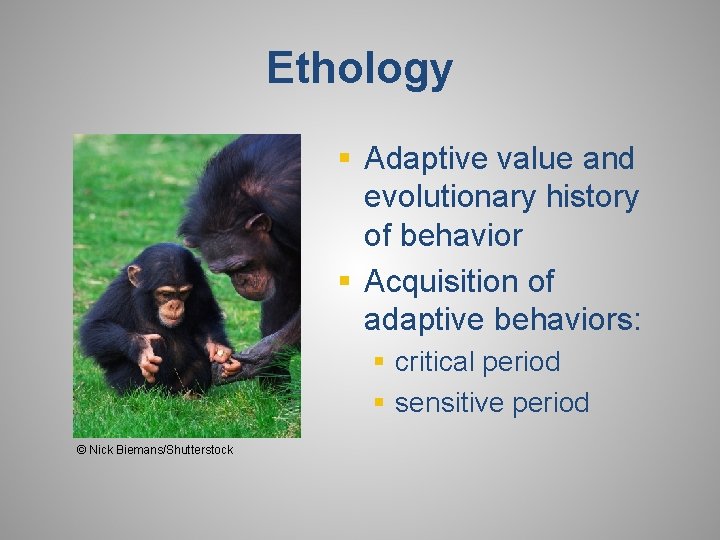 Ethology § Adaptive value and evolutionary history of behavior § Acquisition of adaptive behaviors: