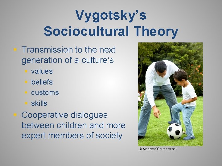 Vygotsky’s Sociocultural Theory § Transmission to the next generation of a culture’s § §