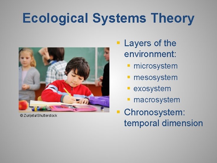 Ecological Systems Theory § Layers of the environment: § § © Zurijeta/Shutterstock microsystem mesosystem