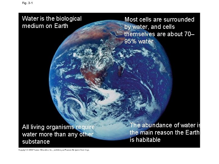 Fig. 3 -1 Water is the biological medium on Earth All living organisms require