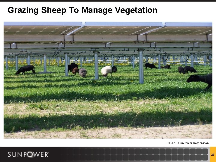 Grazing Sheep To Manage Vegetation © 2010 Sun. Power Corporation 25 