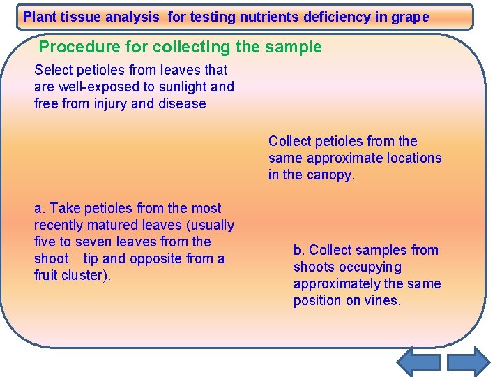 Plant tissue analysis for testing nutrients deficiency in grape Procedure for collecting the sample Plant tissue analysis for testing nutrients deficiency in grape Procedure for collecting the sample