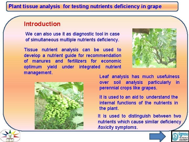 Plant tissue analysis for testing nutrients deficiency in grape Introduction We can also use Plant tissue analysis for testing nutrients deficiency in grape Introduction We can also use