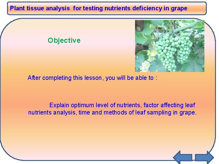 Plant tissue analysis for testing nutrients deficiency in grape Objective After completing this lesson, Plant tissue analysis for testing nutrients deficiency in grape Objective After completing this lesson,