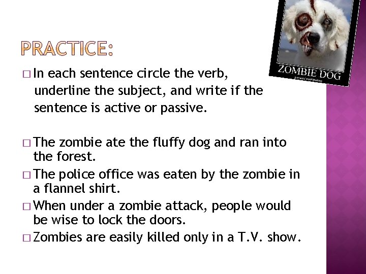 � In each sentence circle the verb, underline the subject, and write if the � In each sentence circle the verb, underline the subject, and write if the