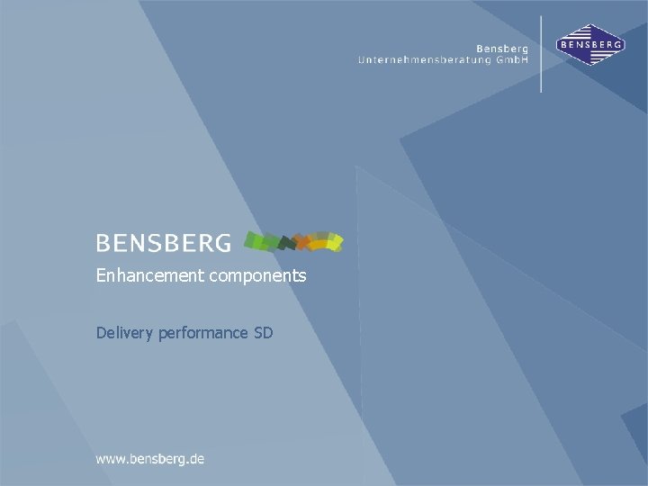 Delivery performance SD Enhancement components Delivery performance SD Bensberg Gmb. H 