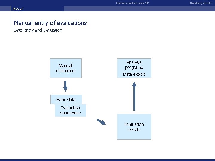 Delivery performance SD Manual entry of evaluations Data entry and evaluation 'Manual' evaluation Analysis