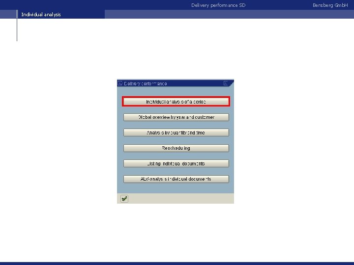 Delivery performance SD Individual analysis Bensberg Gmb. H 