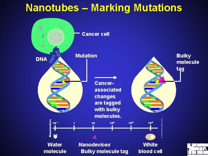 Nanotubes – Marking Mutations Cancer cell DNA Bulky molecule tag Mutation Cancerassociated changes are