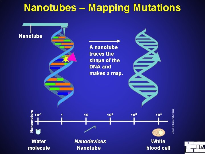 Nanotubes – Mapping Mutations Nanotube A nanotube traces the shape of the DNA and