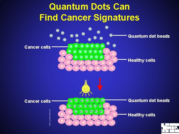 Quantum Dots Can Find Cancer Signatures Quantum dot beads Cancer cells Healthy cells Cancer