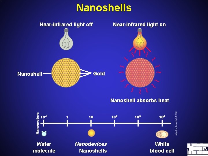 Nanoshells Near-infrared light off Nanoshell Near-infrared light on Gold Nanoshell absorbs heat Water molecule