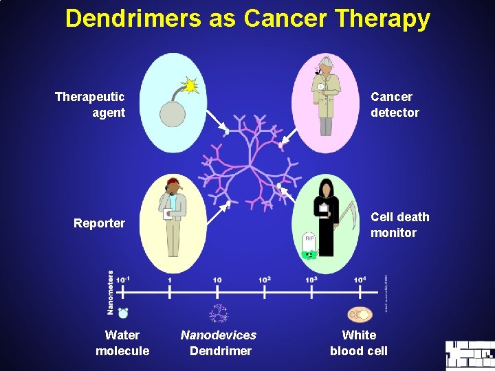 Dendrimers as Cancer Therapy Therapeutic agent Cancer detector Cell death monitor Reporter Water molecule