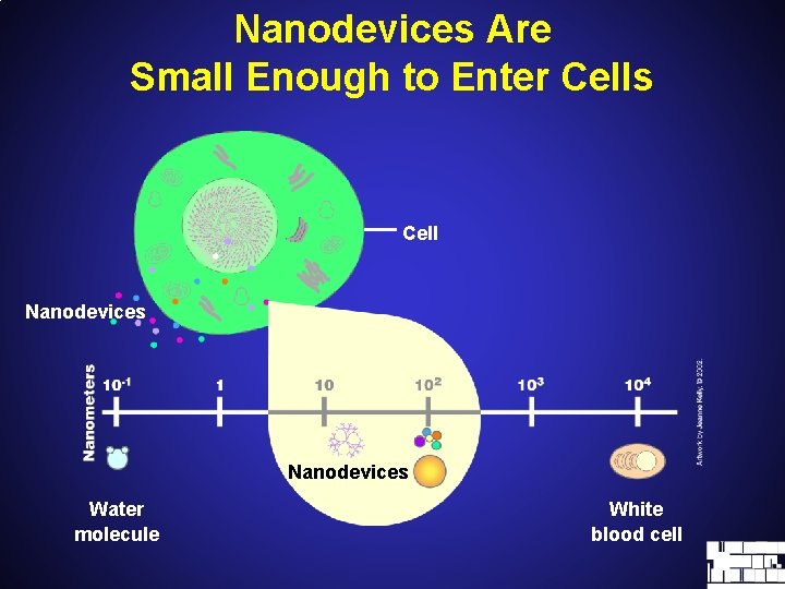Nanodevices Are Small Enough to Enter Cells Cell Nanodevices Water molecule White blood cell