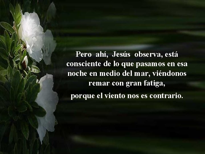 Pero ahí, Jesús observa, está consciente de lo que pasamos en esa noche en