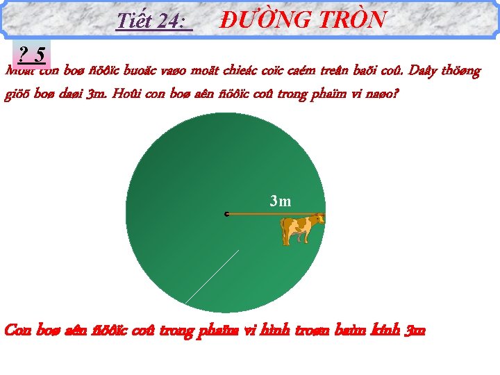 Tiết 24: ĐƯỜNG TRÒN ? 5 Moät con boø ñöôïc buoäc vaøo moät chieác