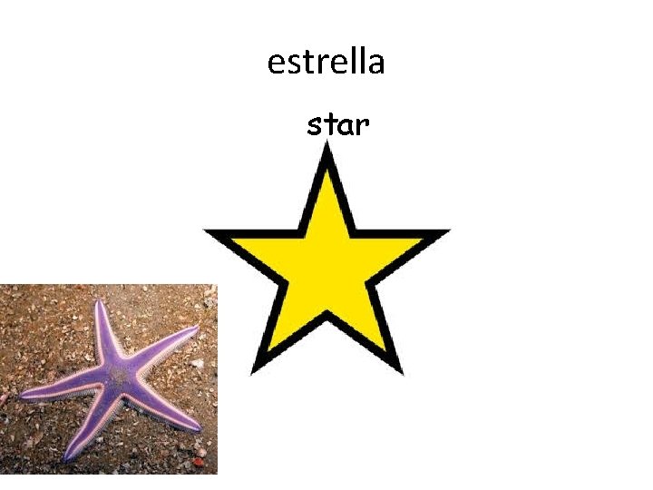 estrella star tú 