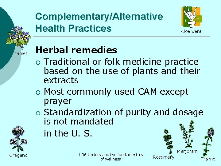 Complementary/Alternative Health Practices Violet Oregano Aloe Vera Herbal remedies ¡ Traditional or folk medicine