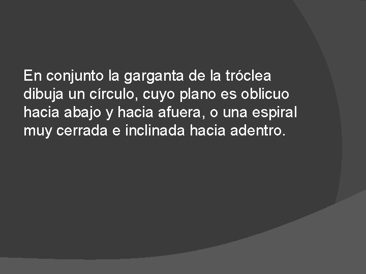 En conjunto la garganta de la tróclea dibuja un círculo, cuyo plano es oblicuo