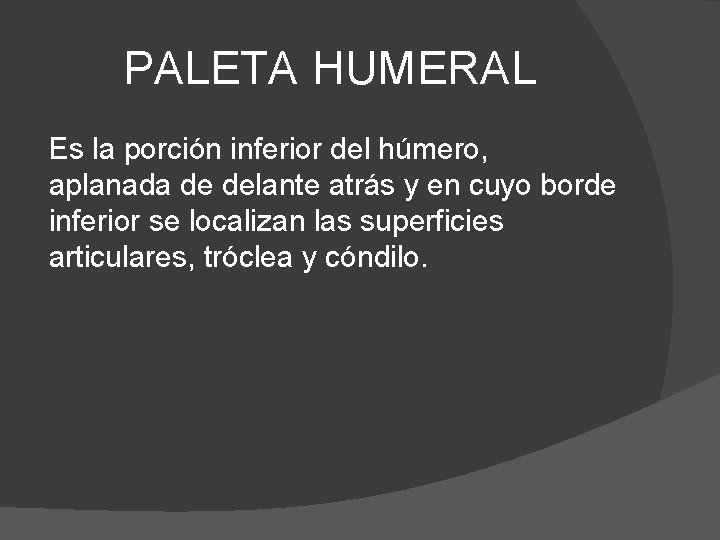 PALETA HUMERAL Es la porción inferior del húmero, aplanada de delante atrás y en
