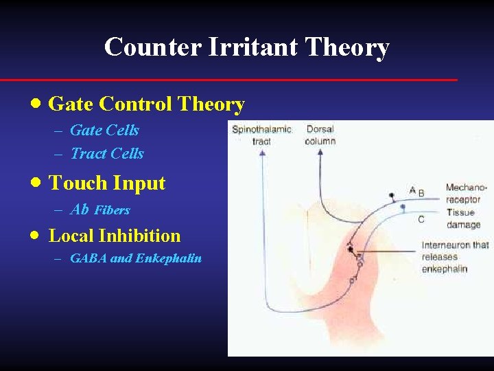 Counter Irritant Theory · Gate Control Theory – Gate Cells – Tract Cells ·