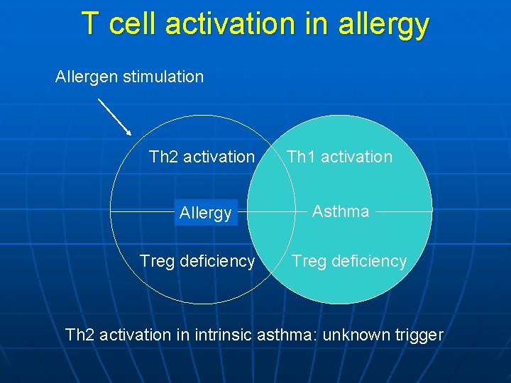 T cell activation in allergy Allergen stimulation Th 2 activation Th 1 activation Allergy