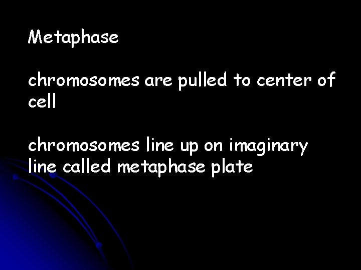 Metaphase chromosomes are pulled to center of cell chromosomes line up on imaginary line