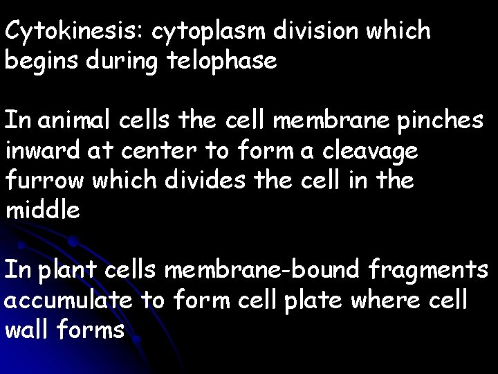 Cytokinesis: cytoplasm division which begins during telophase In animal cells the cell membrane pinches