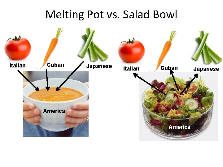Melting Pot vs. Salad Bowl Italian Cuban Japanese Italian Cuban Cultural Pluralism America Japanese Melting Pot vs. Salad Bowl Italian Cuban Japanese Italian Cuban Cultural Pluralism America Japanese