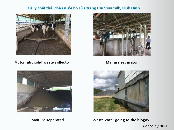 Xử lý chất thải chăn nuôi bò sữa trang trại Vinamilk, Bình Định Automatic