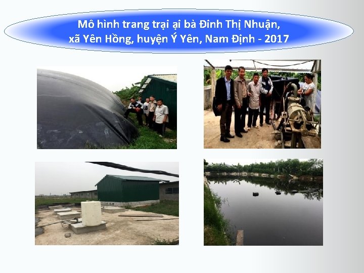 Mô hình trang trại ại bà Đinh Thị Nhuận, xã Yên Hồng, huyện Ý