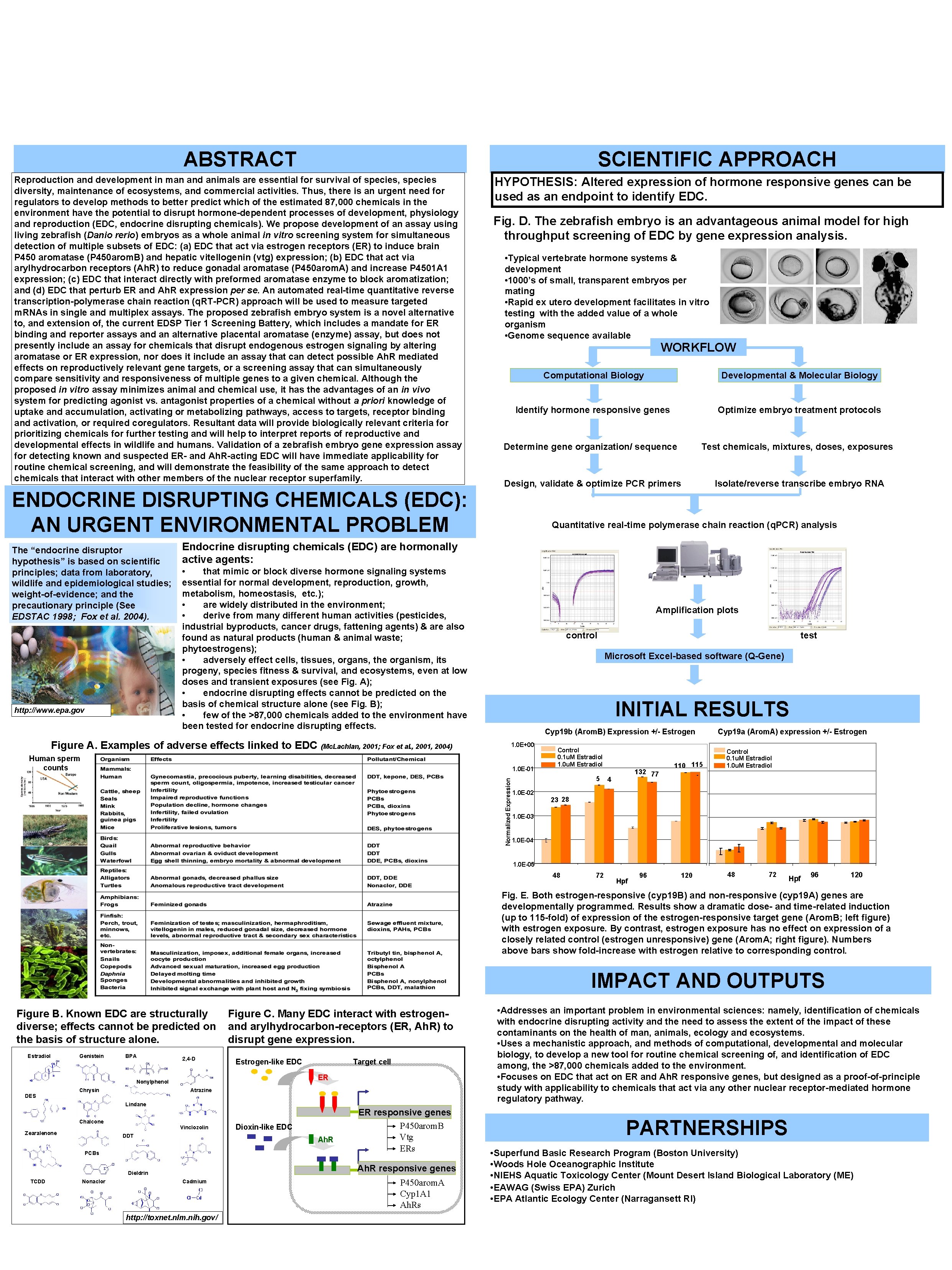 A High Throughput Zebrafish Embryo Gene Expression System for Screening Endocrine Disrupting Chemicals G.