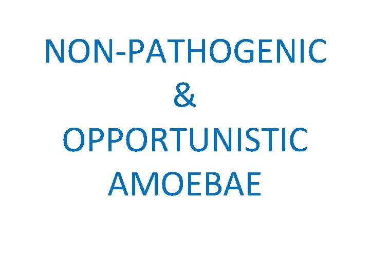 NON-PATHOGENIC & OPPORTUNISTIC AMOEBAE 