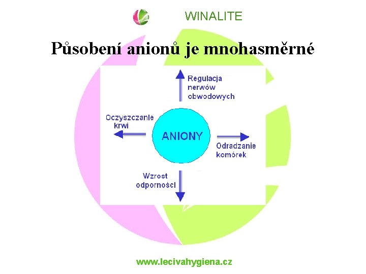 WINALITE Působení anionů je mnohasměrné www. lecivahygiena. cz 