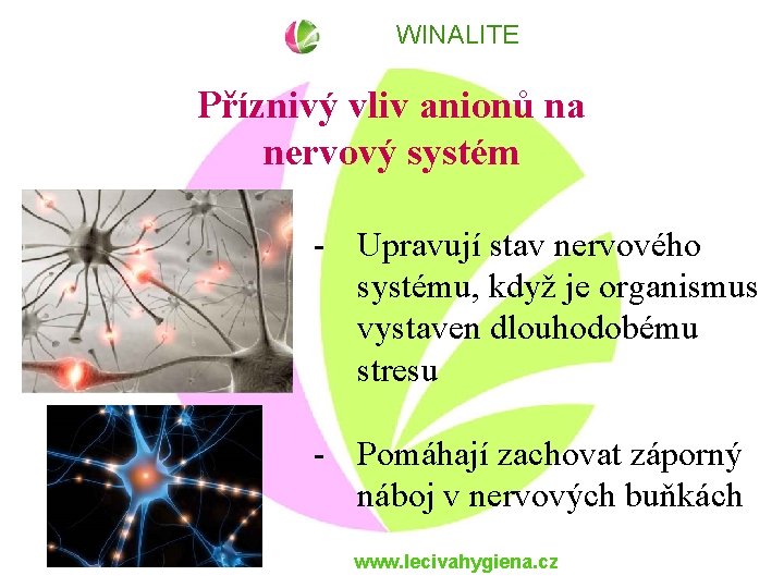 WINALITE Příznivý vliv anionů na nervový systém - Upravují stav nervového systému, když je