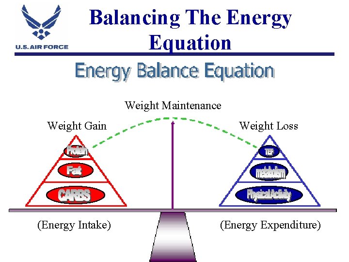 Balancing The Energy Equation Weight Maintenance Weight Gain Weight Loss (Energy Intake) (Energy Expenditure)