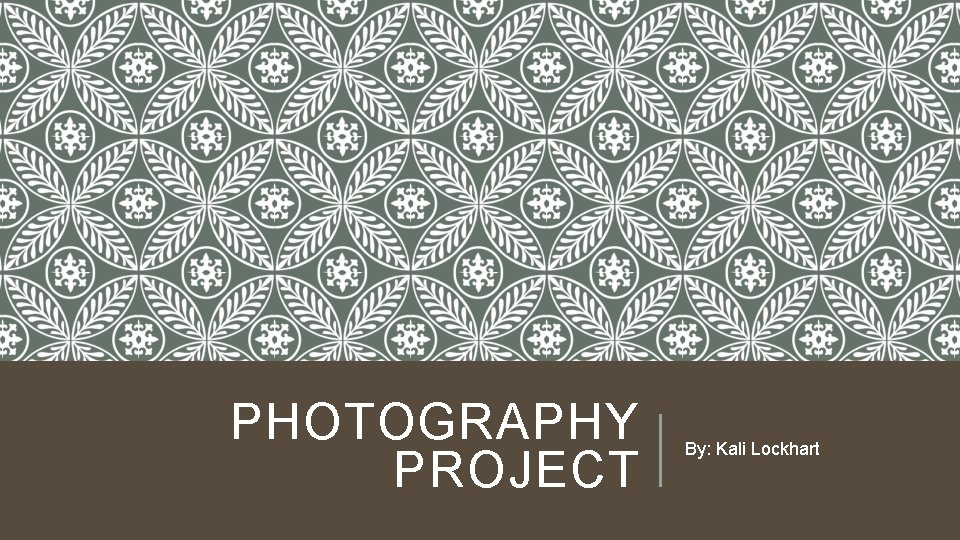 PHOTOGRAPHY PROJECT By: Kali Lockhart 