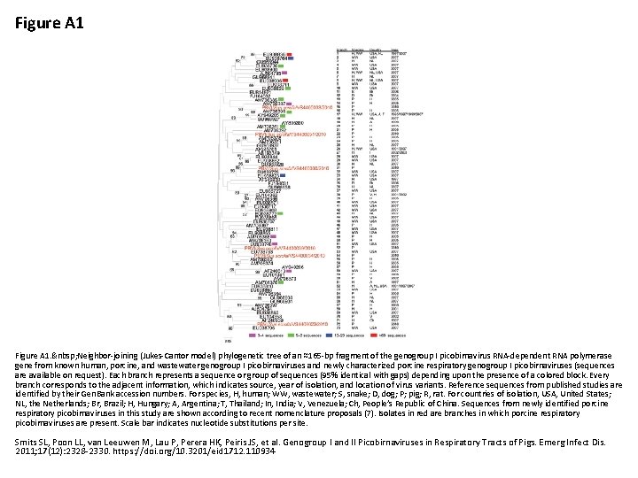 Figure A 1.   Neighbor-joining (Jukes-Cantor model) phylogenetic tree of an ≈165 -bp fragment