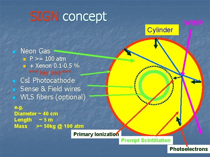 SIGN concept Cylinder n Neon Gas n n n WIMP P >= 100 atm