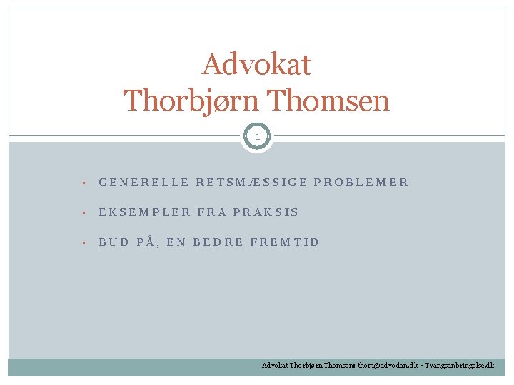 Advokat Thorbjørn Thomsen 1 • GENERELLE RETSMÆSSIGE PROBLEMER • EKSEMPLER FRA PRAKSIS • BUD