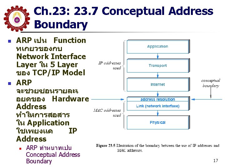 Ch. 23: 23. 7 Conceptual Address Boundary n n ARP เปน Function ทเกยวของกบ Network