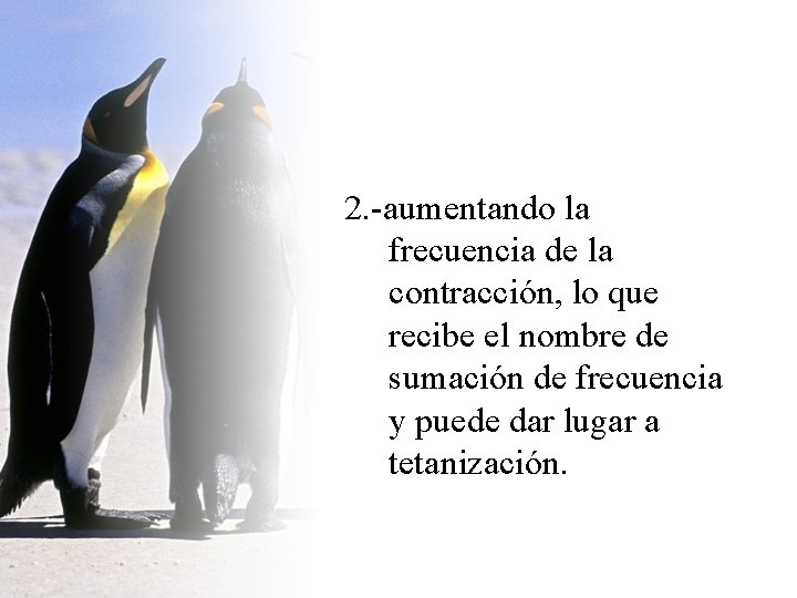 2. -aumentando la frecuencia de la contracción, lo que recibe el nombre de sumación