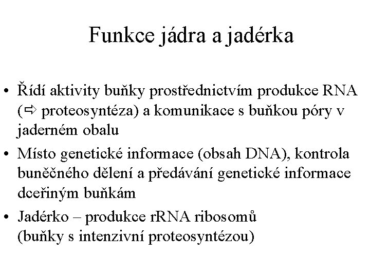 Funkce jádra a jadérka • Řídí aktivity buňky prostřednictvím produkce RNA ( proteosyntéza) a
